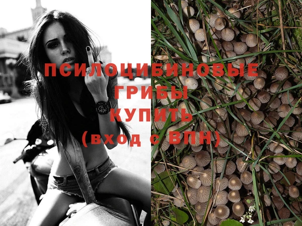 мет Белокуриха